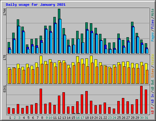 Daily usage for January 2021