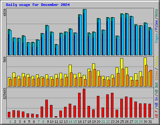 Daily usage for December 2024