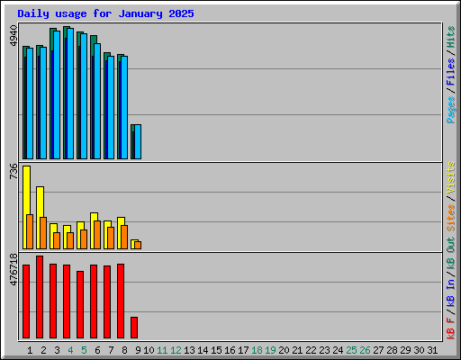 Daily usage for January 2025