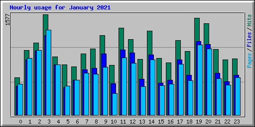 Hourly usage for January 2021