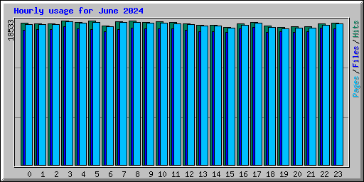 Hourly usage for June 2024