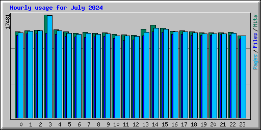 Hourly usage for July 2024