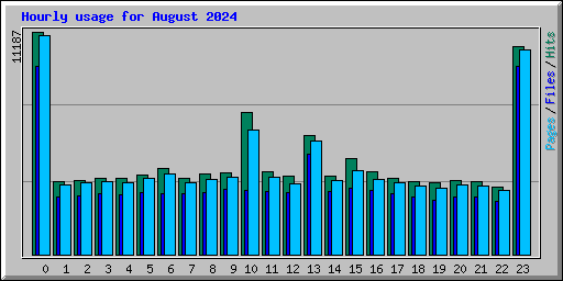 Hourly usage for August 2024