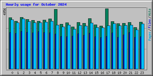 Hourly usage for October 2024