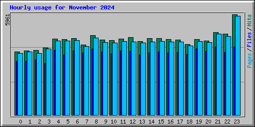 Hourly usage for November 2024