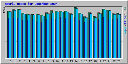 Hourly usage for December 2024