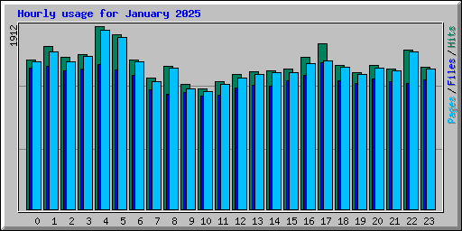 Hourly usage for January 2025