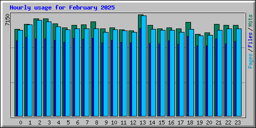 Hourly usage for February 2025