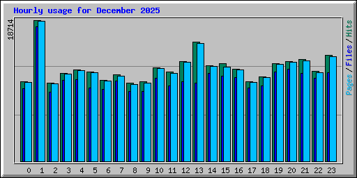 Hourly usage for December 2025